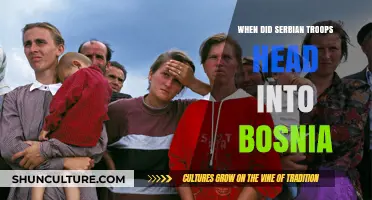 Serbian Troops' Entry into Bosnia: A Historical Timeline