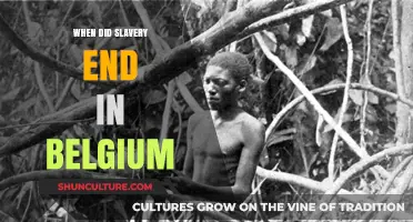 Emancipation in Belgium: A Historical Overview of Slavery's End
