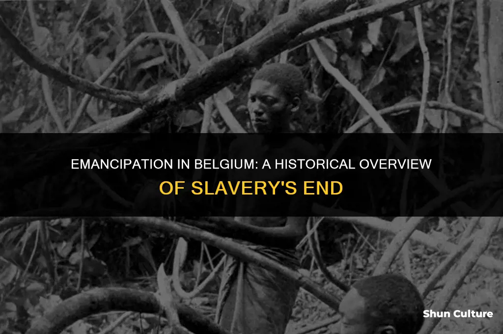 when did slavery end in belgium
