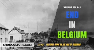 End of Conflict: A Look at Belgium's War Conclusion
