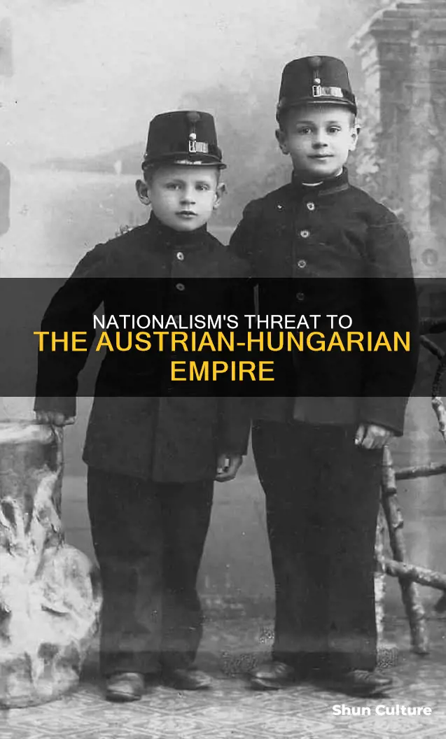 when did the austrian hungarian empire fight against nationalism
