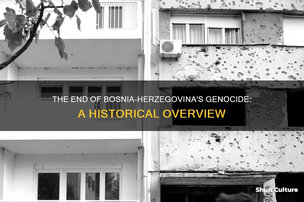 when did the bosnia herzegovina genocide end