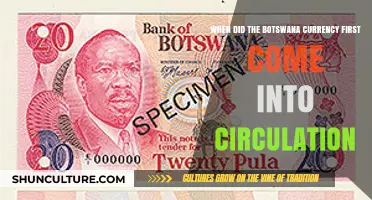 The Introduction of Botswana's Currency: A Historical Overview