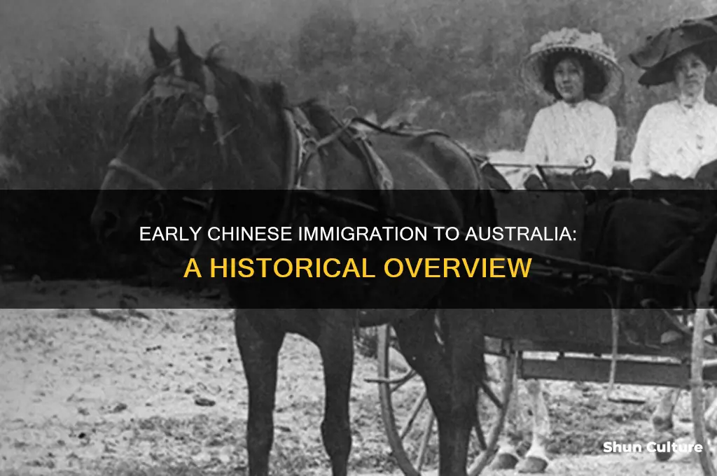 when did the chinese first immigrated to australia