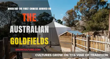 Chinese Pioneers on Australian Goldfields: Tracing Their Historic Arrival