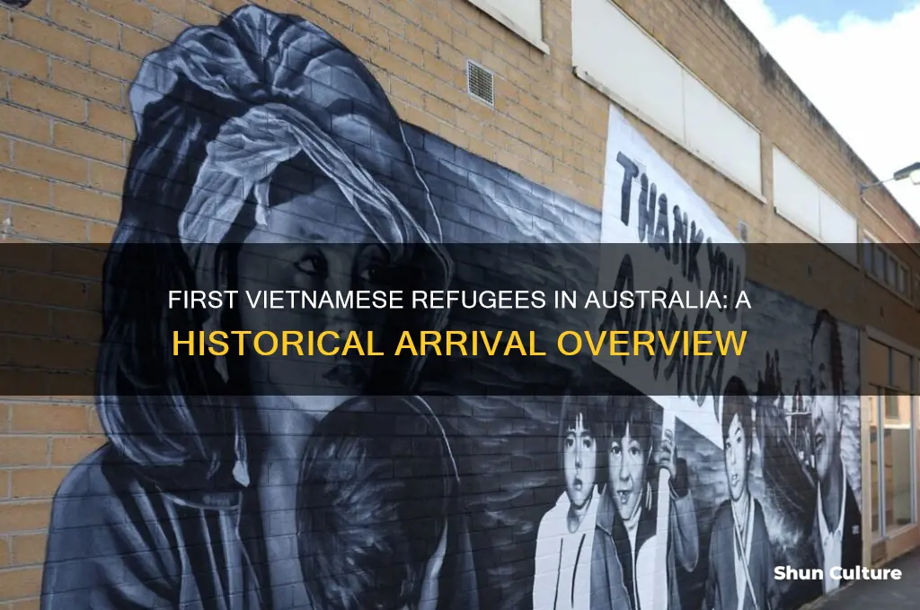 when did the first vietnamese refugees arrived in australia