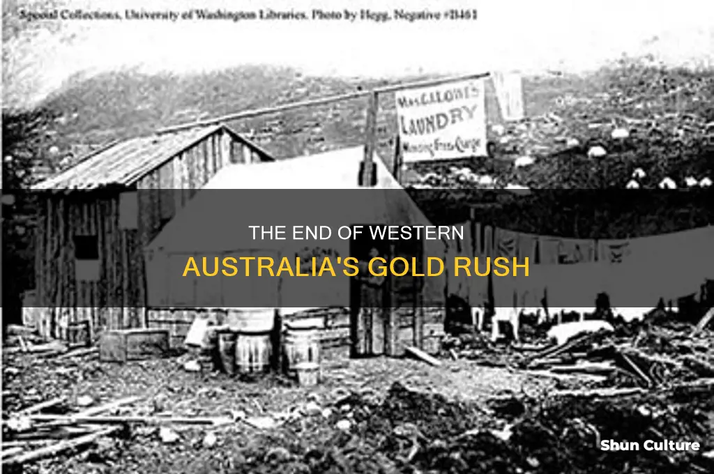 when did the gold rush end in western australia