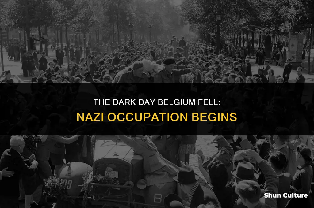 when did the nazia take control of belgium
