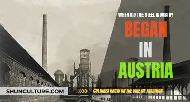 Austria's Industrial Revolution: When Did the Steel Industry Begin?