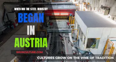 The Evolution of Austria's Steel Industry