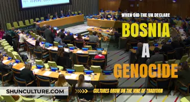 UN's Bosnia Genocide Declaration: A Historical Turning Point Explained