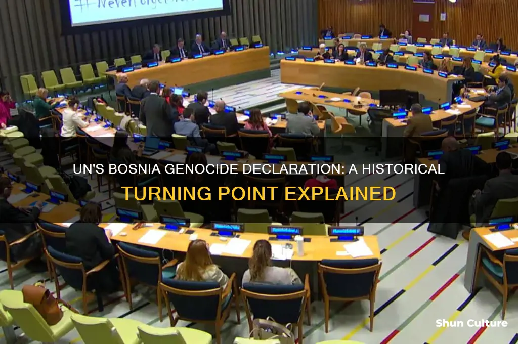 when did the un declare bosnia a genocide