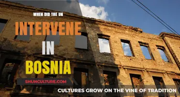 UN Intervention in Bosnia: A Timeline of Key Events