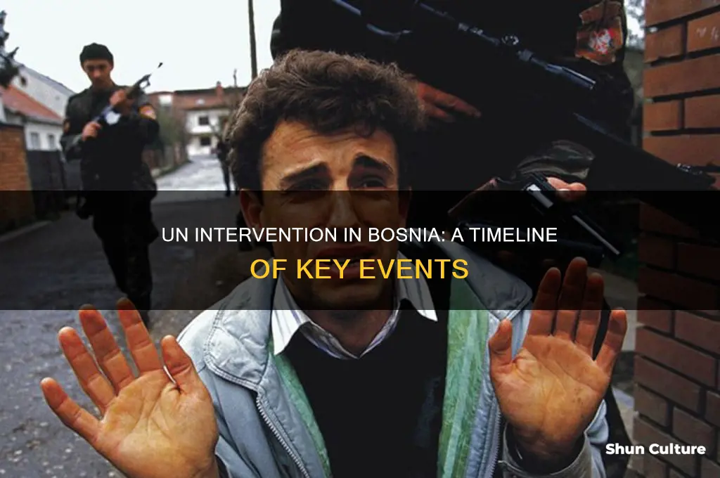 when did the un intervene in bosnia