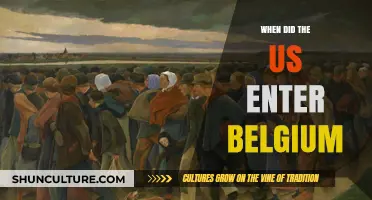 A Historical Perspective: US Entry into Belgium and Its Impact
