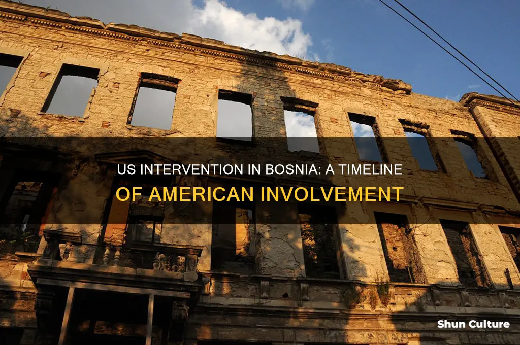 when did the us get involved in bosnia
