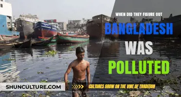 Unveiling Bangladesh's Pollution Crisis: A Historical Perspective on Environmental Awareness