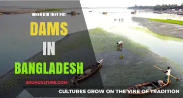 The Evolution of Bangladesh's Dams: A Historical Overview