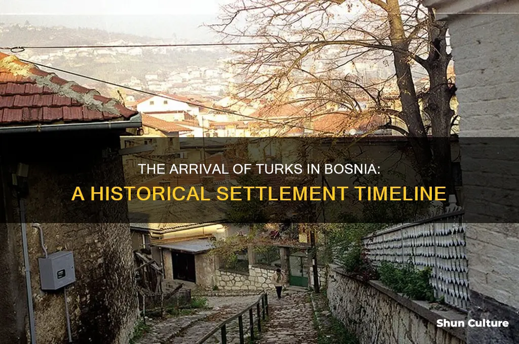 when did tne turks settle in bosnia