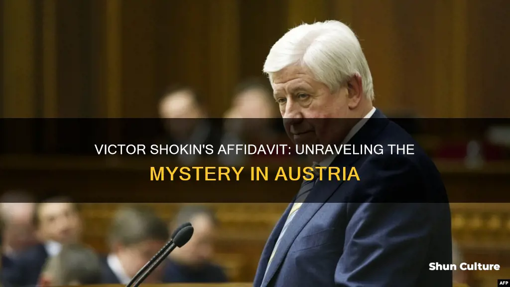 when did victor shokin give his affidavid in austria