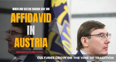 Shokin's Affidavit: Austria's Testimony from Victor Shokin