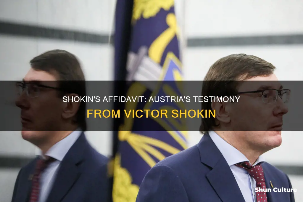 when did victor shokin give his affidavid in austria