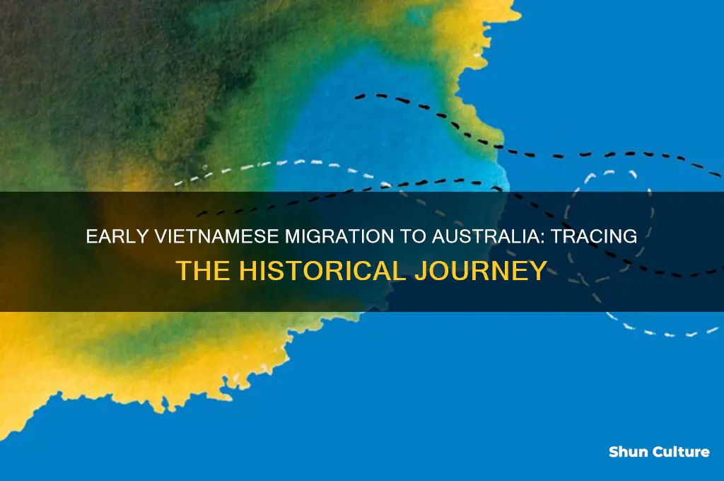 when did vietnamese first migrated to australia