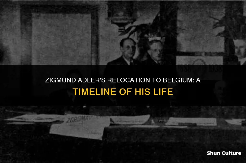 when did zigmond adler move to belgium
