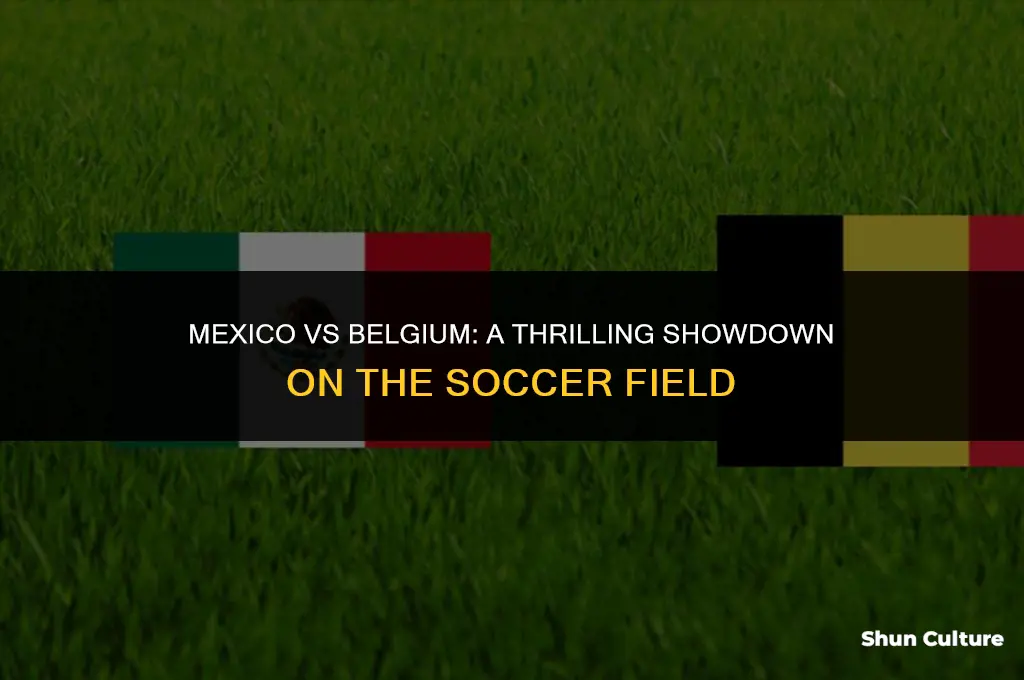 when dies mexico play belgium