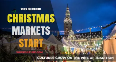 Festive Delights Await: Belgium's Christmas Markets Kick Off!