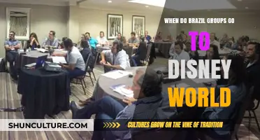 When Do Brazilian Groups Visit Disney World: A Travel Guide