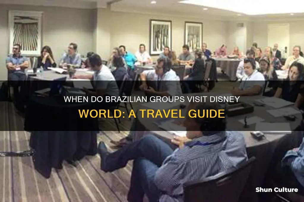 when do brazil groups go to disney world