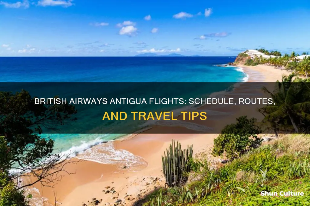 when do british airways fly to antigua