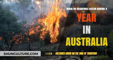 Australia's Bushfire Season: Timing and Annual Patterns Explained