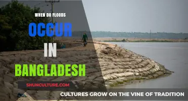Understanding Bangladesh's Flood Seasons: Causes, Timing, and Impact