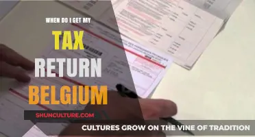When Can I Expect My Tax Refund in Belgium?