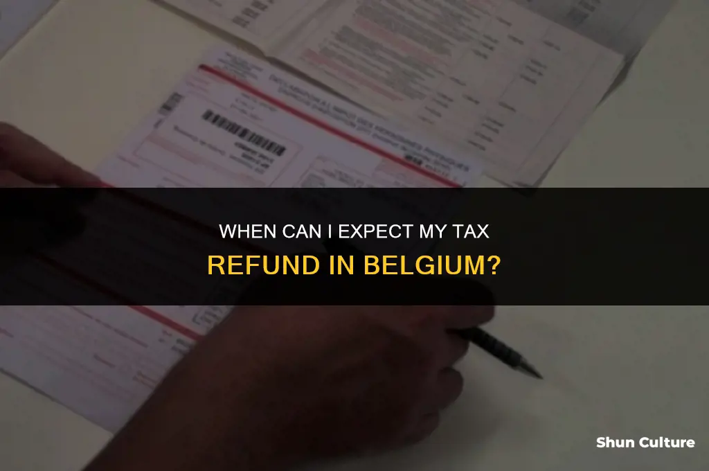 when do I get my tax return belgium