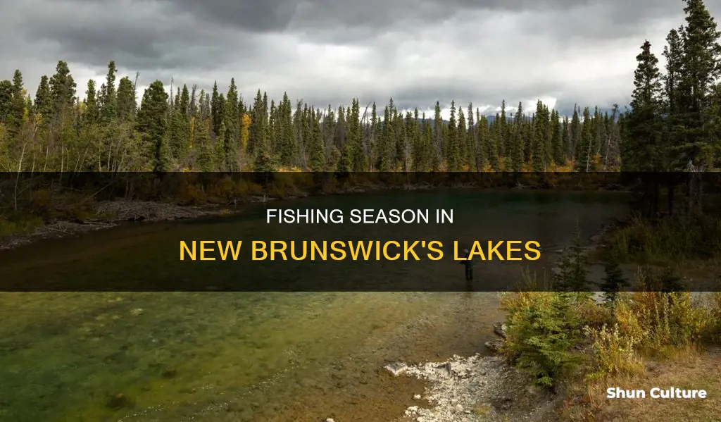 when do lakes open for fishing in new brunswick