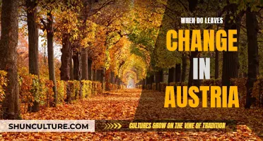 A Guide to Austria's Autumn Leaf Transformation