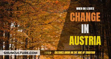 Austria's Fall Colors: When Leaves Change in Autumn
