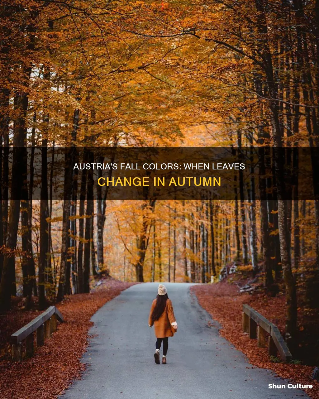 when do leaves change in austria