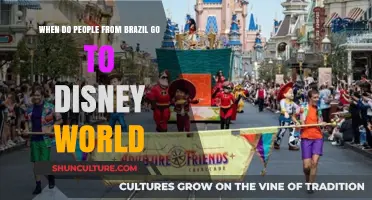 When Do Brazilians Visit Disney World? A Travel Trend Guide