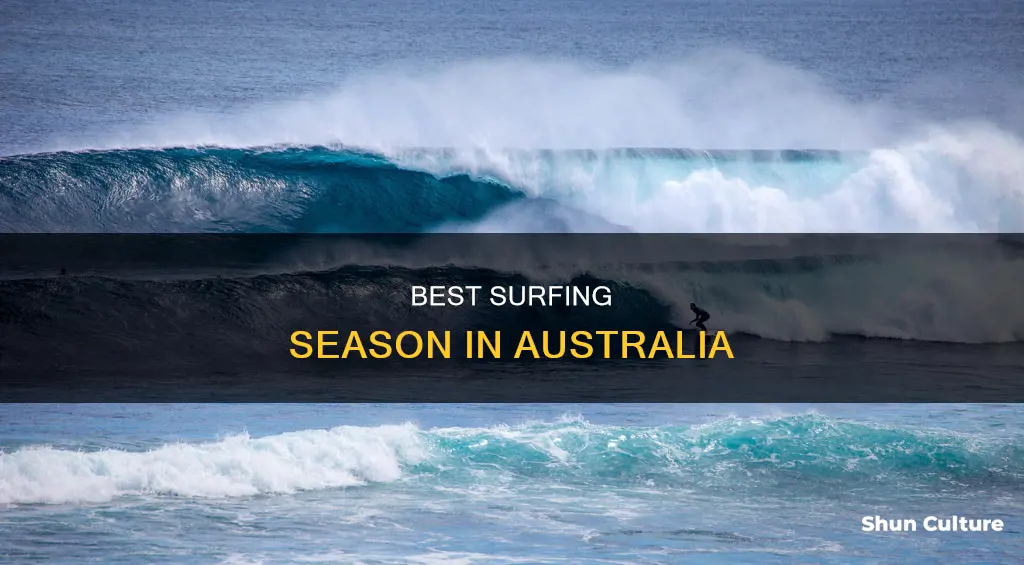 when do people go surfing in australia
