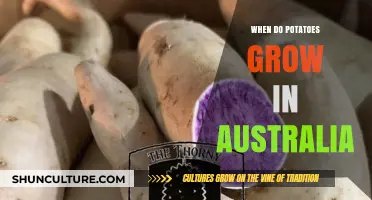 Growing Potatoes in Australia: The Perfect Time