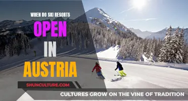 Austria's Alpine Season: When the Slopes Come Alive