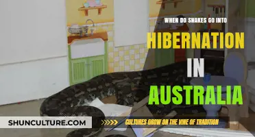 When Do Australian Snakes Hibernate: A Seasonal Survival Guide