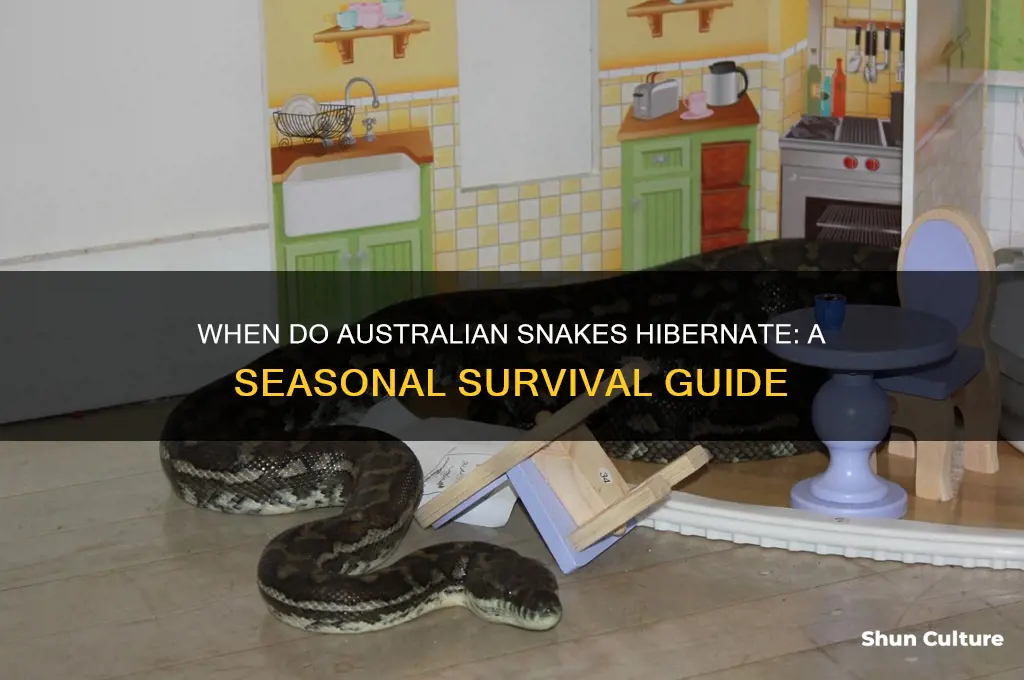 when do snakes go into hibernation in australia