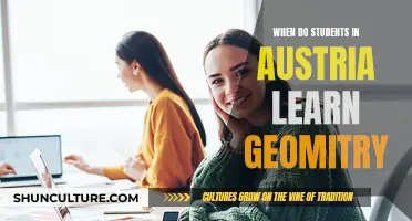Geometry Education in Austria: When Do Students Learn?