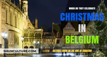 Festive Tidings: A Look at Christmas Celebrations in Belgium
