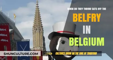 Unveiling the Mystery: Belgium's Belfry Cat Tradition Explained